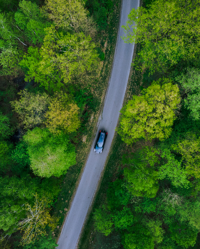 strada in mezzo al bosco vista dall'alto con auto in moviemento
