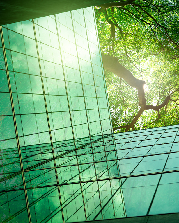 palazzi di vetro visti dal basso con visuale sugli alberi verdi
